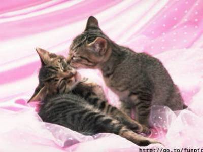 l'amour entre couleurs